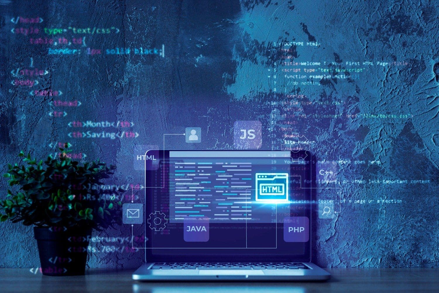 Select the Best Programming Language | Programming Company